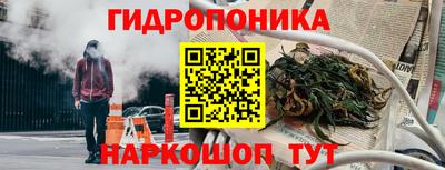 прущие крисы Сланцы