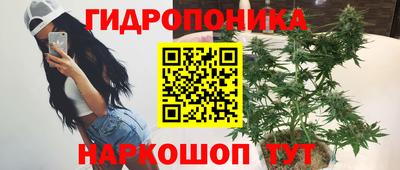 прущие крисы Сланцы