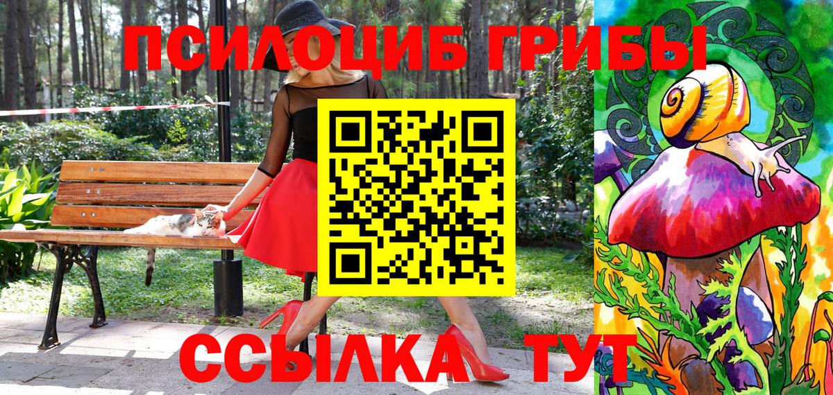 Псилоцибиновые грибы Psilocybe Ногинск