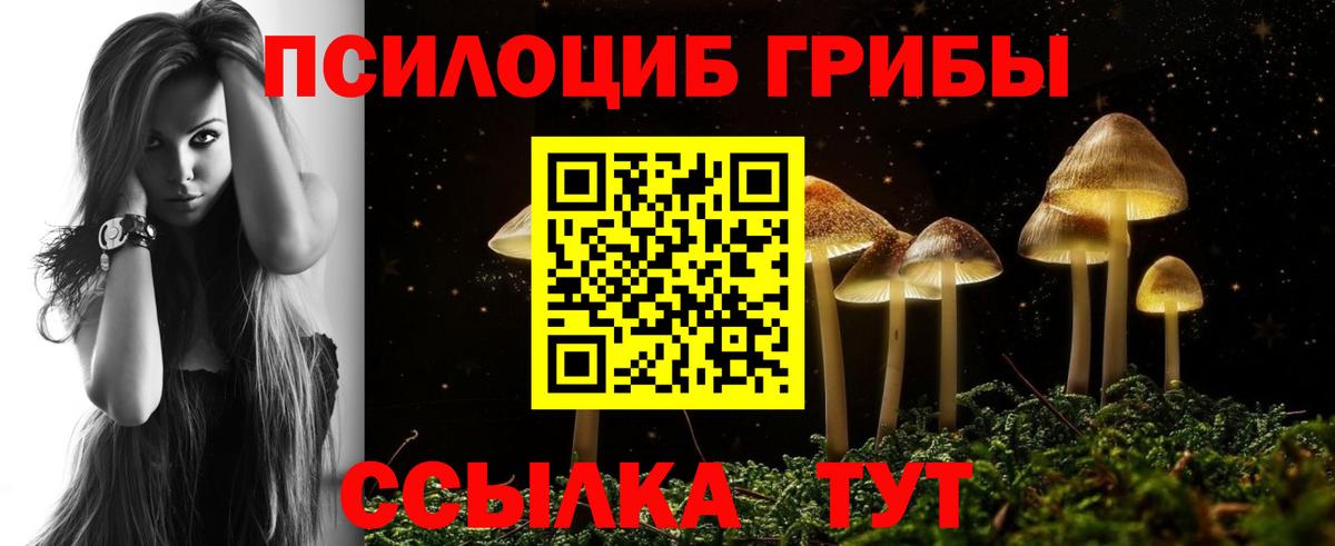 Галлюциногенные грибы Psilocybine cubensis  Псилоцибиновые грибы Psilocybe  Ногинск  Вход с VPN 